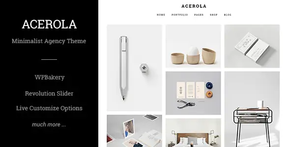 Acerola-UltraMinimalistAgencyTheme.jpg.webp