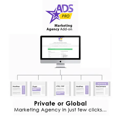 AdsProAdd-on-WordPressMarketingAgency.jpg.webp