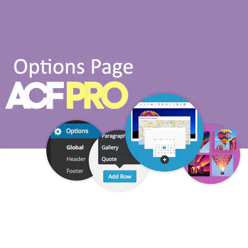 AdvancedCustomFieldsOptionsPageAddon.jpg.webp
