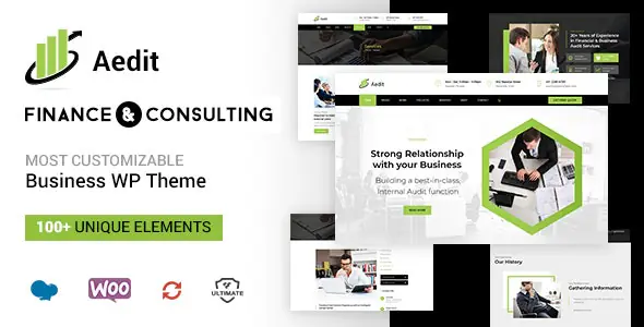 Aedit-CorporateConsultingWordPressTheme.jpg.webp