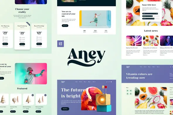Aney-VibrantElementorTemplateKit.jpg.webp