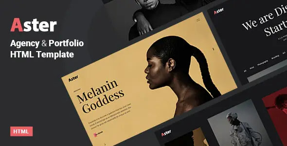 Aster-CreativePortfolioAgencyTemplate.jpg.webp
