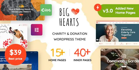 BigHearts-CharityDonationWordPressTheme.jpg.webp
