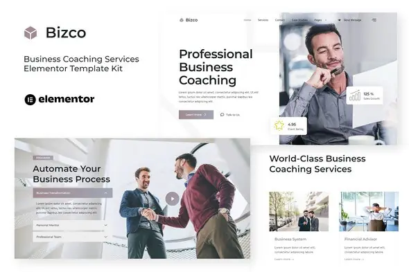 Bizco-BusinessCoachingElementorTemplateKit.jpg.webp