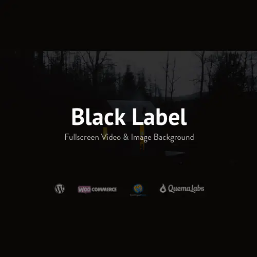 BlackLabel-FullscreenVideoImageBackground.jpg.webp