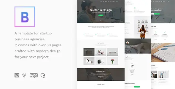 BoTheme-StartupBusinessWordPressTheme.jpg.webp