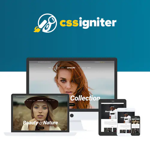 CSSIgniterAmaryllisWordPressTheme.jpg.webp