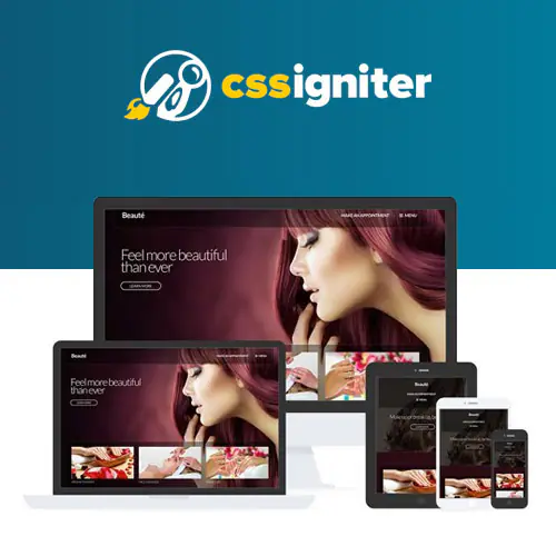 CSSIgniterBeauteWordPressTheme.jpg.webp
