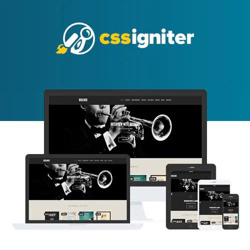 CSSIgniterBerlinerWordPressTheme.jpg.webp