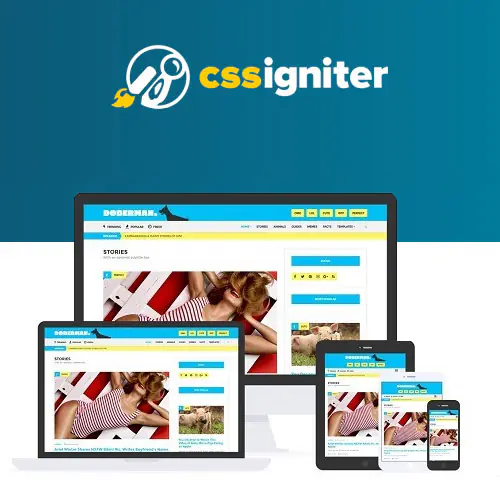 CSSIgniterDobermanWordPressTheme.jpg.webp