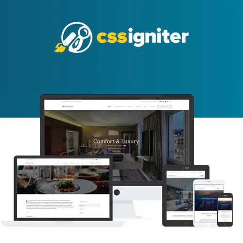 CSSIgniterMoliereWordPressTheme.jpg.webp