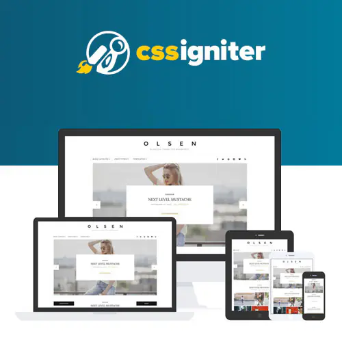 CSSIgniterOlsenWordPressTheme.jpg.webp