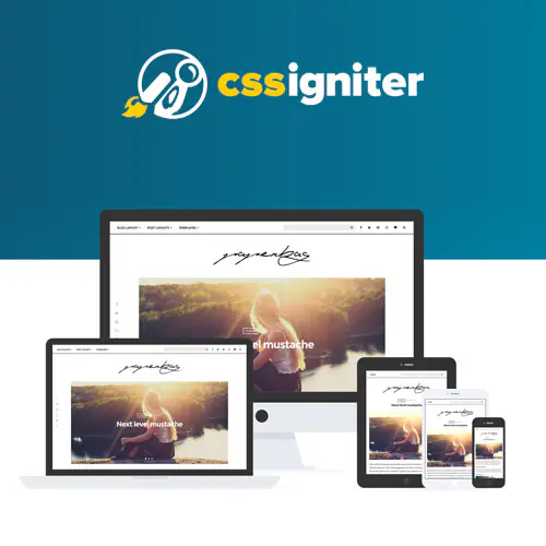 CSSIgniterPaperbagWordPressTheme.jpg.webp