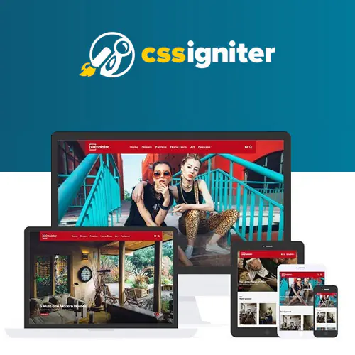 CSSIgniterPinmaisterWordPressTheme.jpg.webp