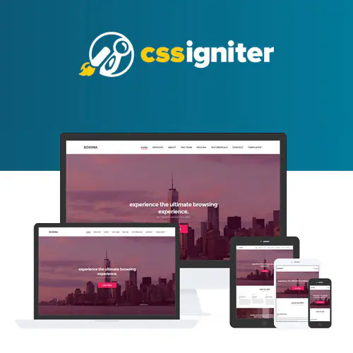 CSSIgniterRoximaWordPressTheme.jpg.webp