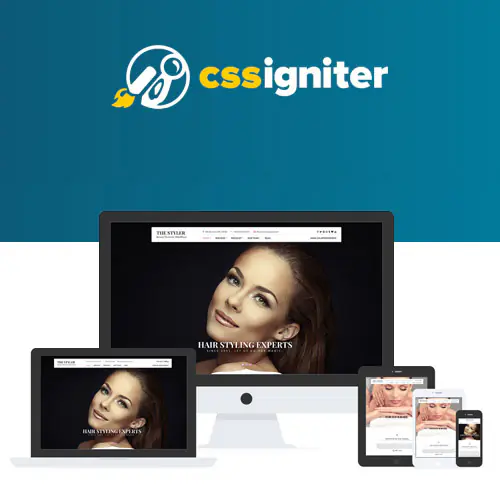 CSSIgniterTheStylerWordPressTheme.jpg.webp