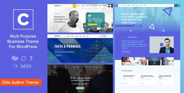 Capital-MultiPurposeBusinessWordPressTheme.jpg.webp