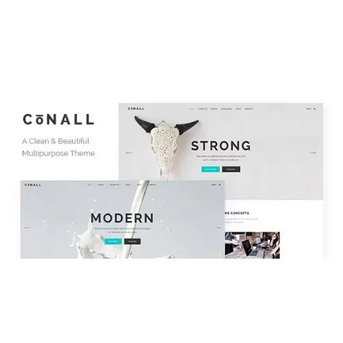 Conall-CleanMultipurposeTheme.jpg.webp