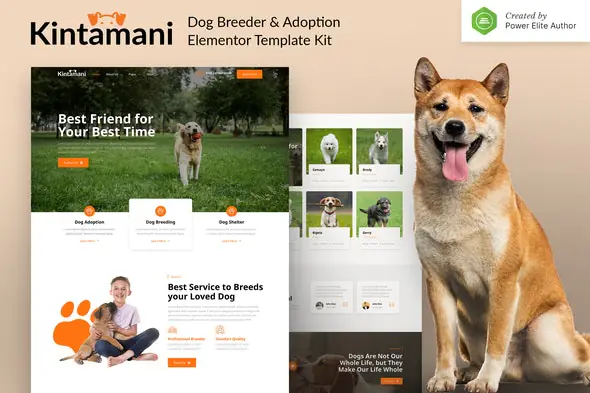 Kintamani-DogBreederAdoptionElementorTemplateKit.jpg.webp