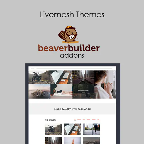 LivemeshAddonsforBeaverBuilder.jpg.webp