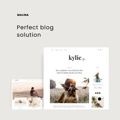 Malina-PersonalWordPressBlogTheme.jpg.webp