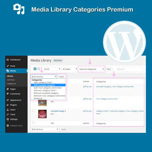 MediaLibraryCategoriesPremium.jpg.webp