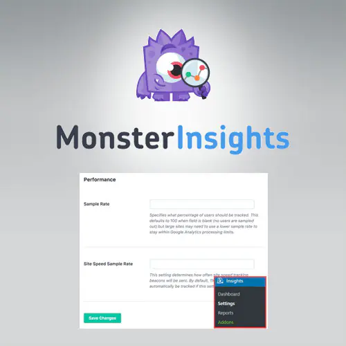 MonsterInsights-PerformanceAddon.jpg.webp