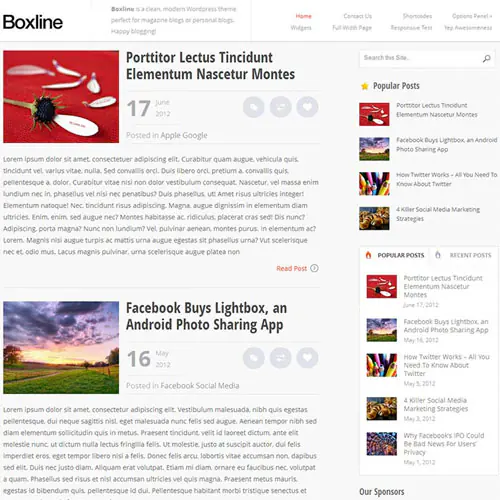 MyThemeShopBoxlineWordPressTheme.jpg.webp