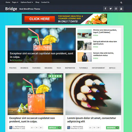 MyThemeShopBridgeWordPressTheme.jpg.webp