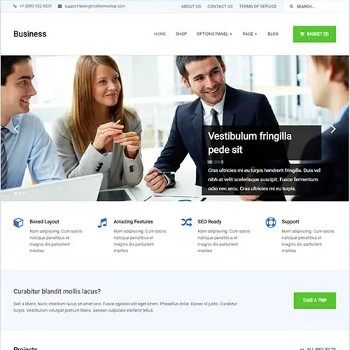 MyThemeShopBusinessWordPressTheme.jpg.webp