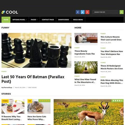 MyThemeShopCoolWordPressTheme.jpg.webp
