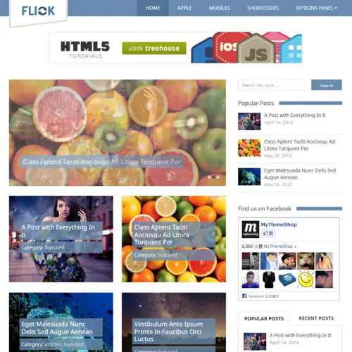 MyThemeShopFlickWordPressTheme.jpg.webp