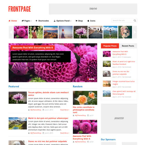 MyThemeShopFrontpageWordPressTheme.jpg.webp