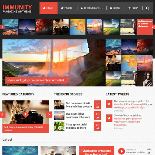 MyThemeShopImmunityWordPressTheme.jpg.webp