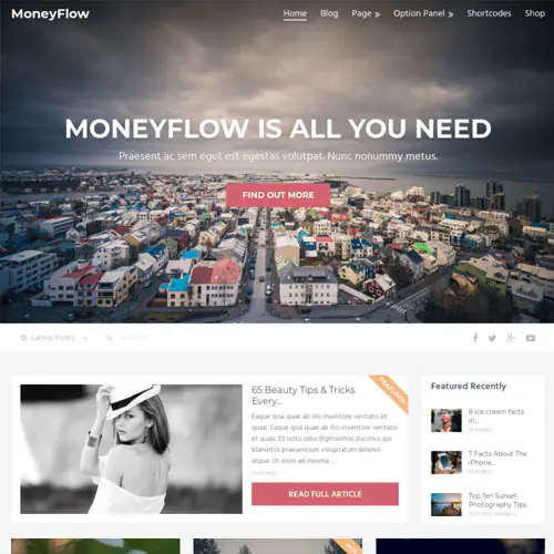 MyThemeShopMoneyFlowWordPressTheme.jpg.webp