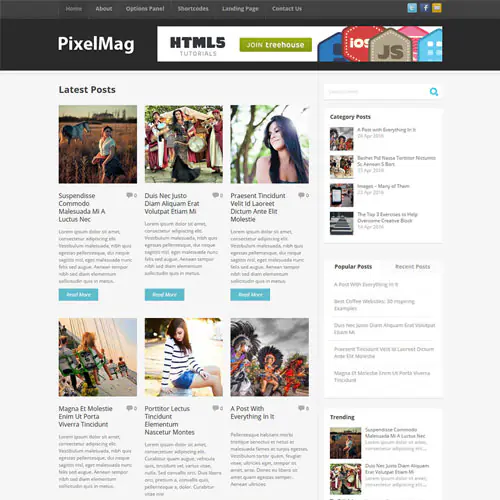 MyThemeShopPixelmagWordPressTheme.jpg.webp