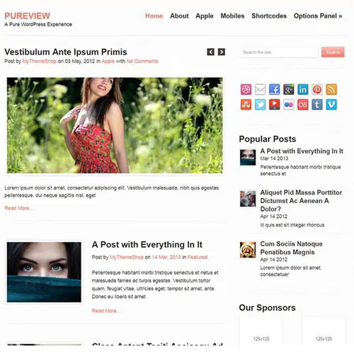 MyThemeShopPureviewWordPressTheme.jpg.webp