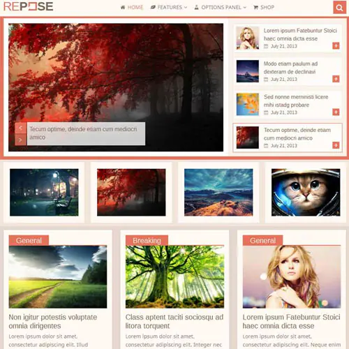 MyThemeShopReposeWordPressTheme.jpg.webp