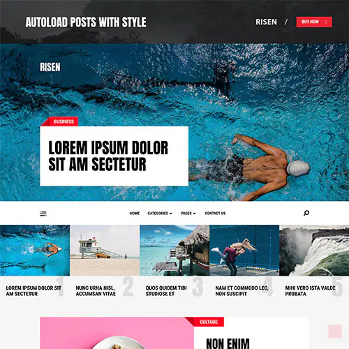 MyThemeShopRisenWordPressTheme.jpg.webp