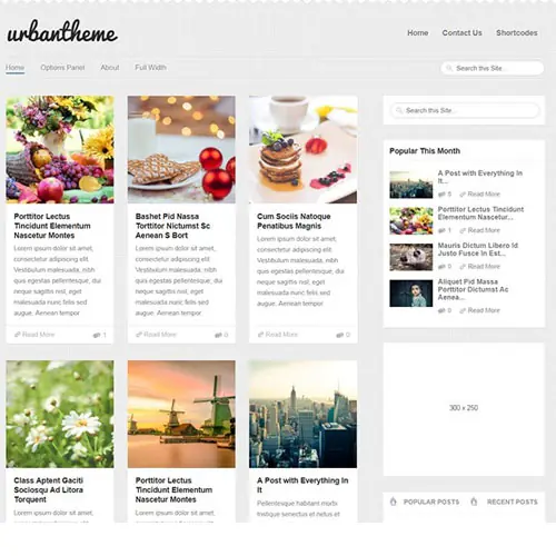 MyThemeShopUrbanWordPressTheme.jpg.webp