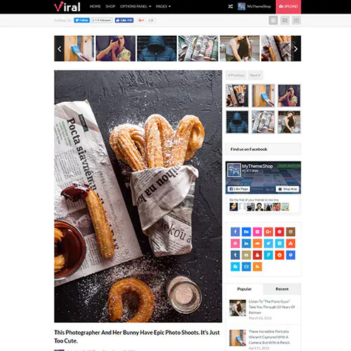MyThemeShopViralWordPressTheme.jpg.webp