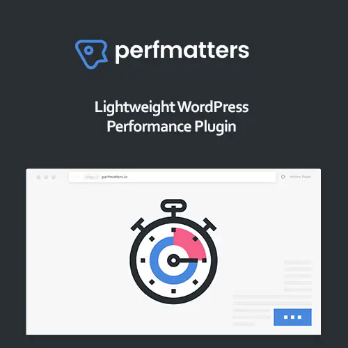 PerfmattersWordPressPlugin.jpg.webp