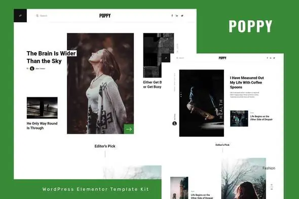 Poppy-BlogMagazineElementorProTemplateKit.jpg.webp