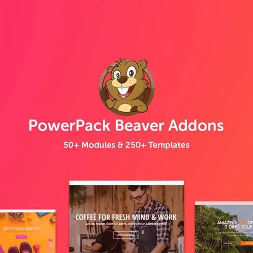 PowerPackforBeaverBuilder.webp