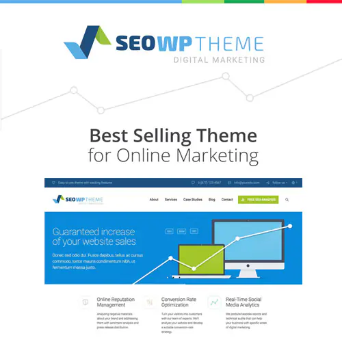 SEOWPDigitalMarketingAgency-SocialMediaCompanyTheme.jpg.webp