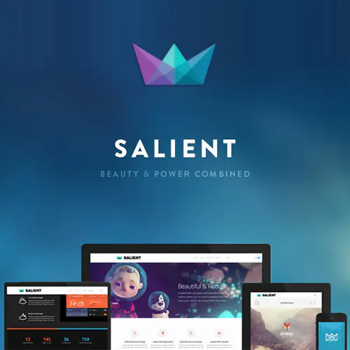 Salient-ResponsiveMulti-PurposeTheme.jpg.webp