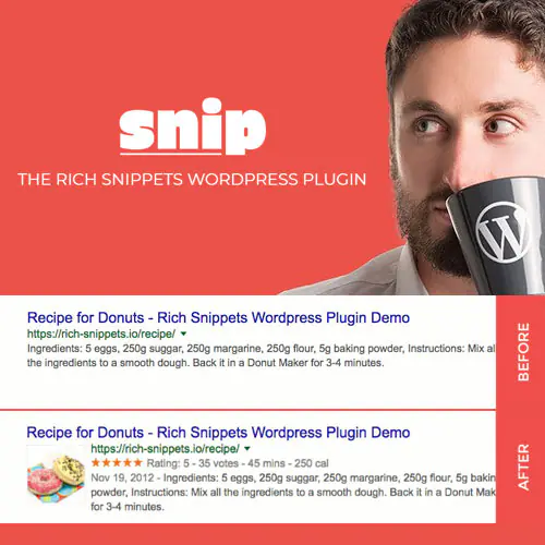 Snip-TheRichSnippets.jpg.webp