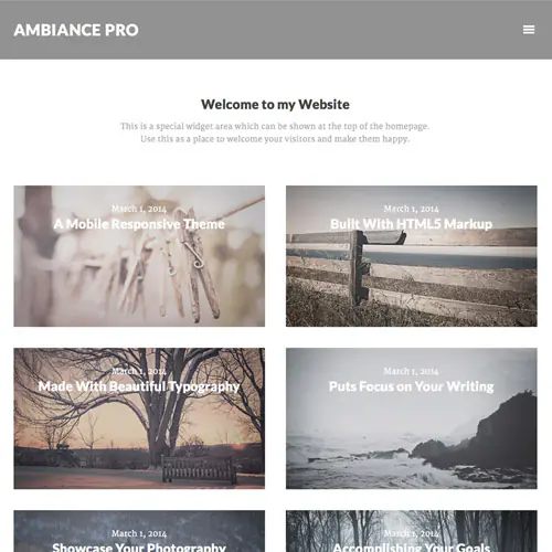 StudioPressAmbianceProGenesisWordPressTheme.jpg.webp