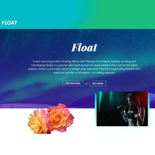 ThemifyFloatWordPressTheme.jpg.webp
