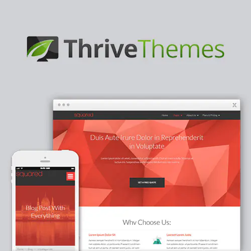 ThriveThemesSquaredWordPressTheme.jpg.webp